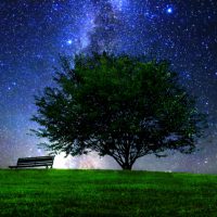 草原の星